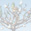 Urban Fruit Tree